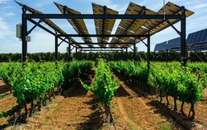 France defines standards for agrivoltaics