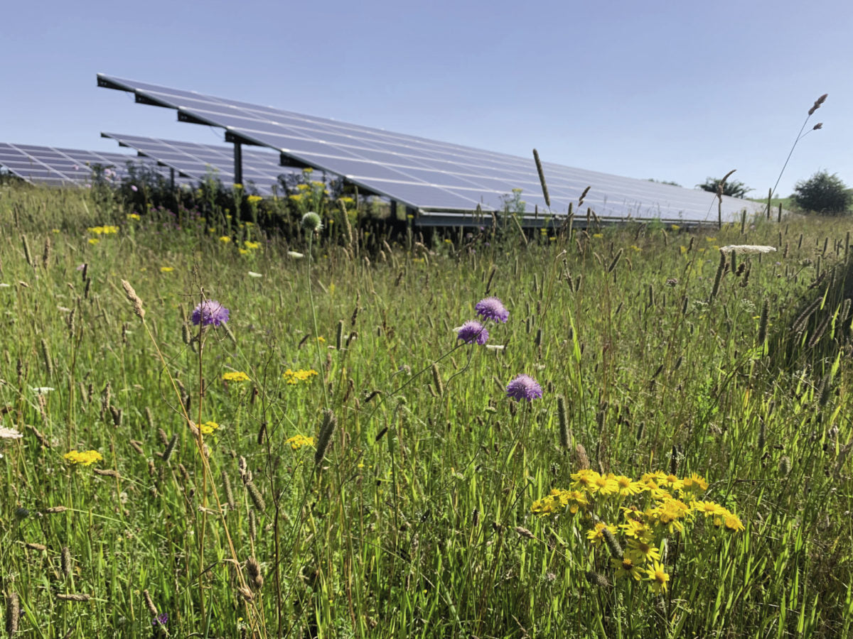 The weekend read: The dawn of deep green solar