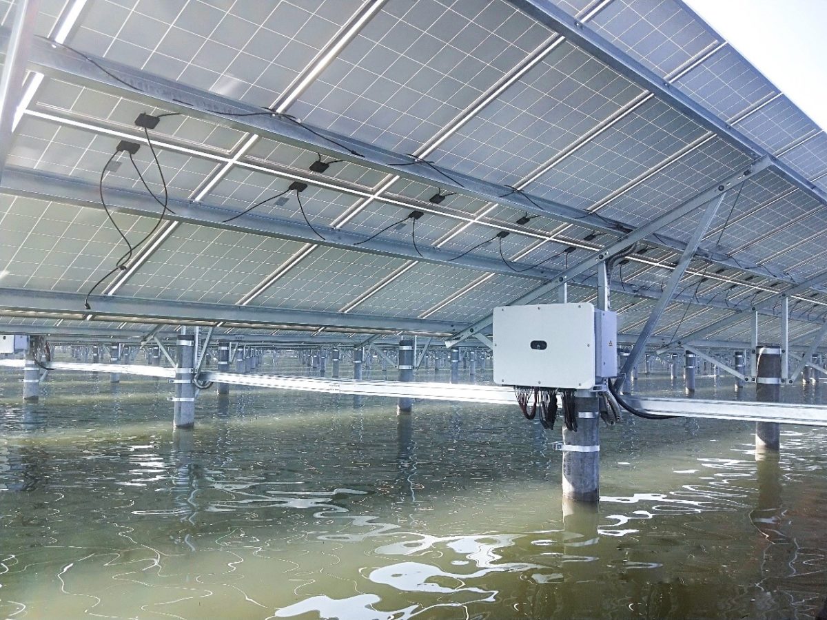 Lightsource bp to build 150 MW fishery solar farm in Taiwan