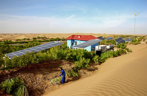 Remarkable Achievements of Photovoltaic Driven Desert Irrigation