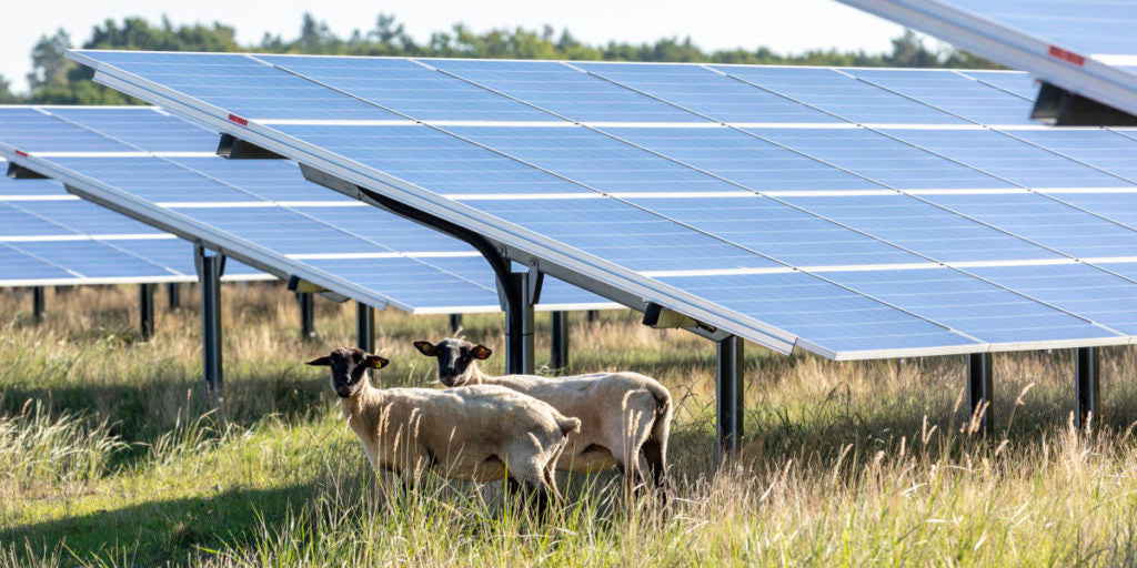 Mecklenburg-Vorpommern verspricht schnellere Genehmigung von Photovoltaik-Freiflächenanlagen
