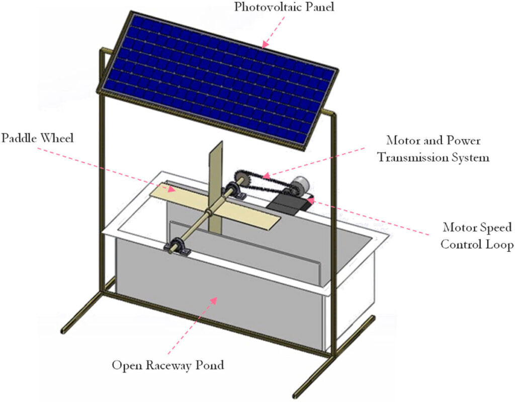 Construyen un sistema «acuavoltaico» para la producción de microalgas