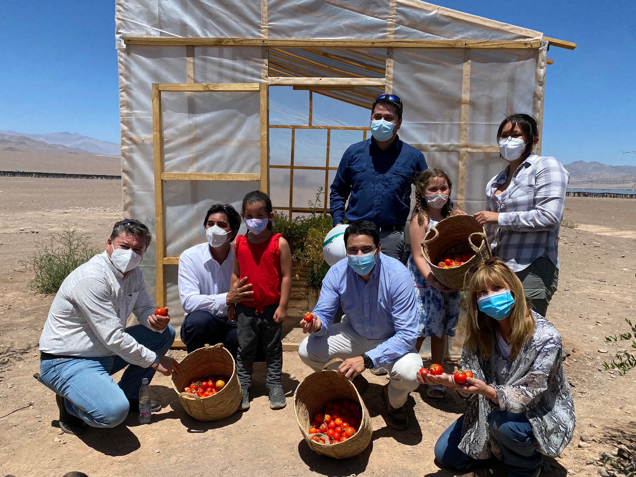 La fotovoltaica posibilita cultivar y transportar tomates en el desierto de Atacama, en Chile