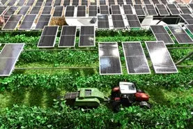 Innovative agricultural photovoltaic projects and technology