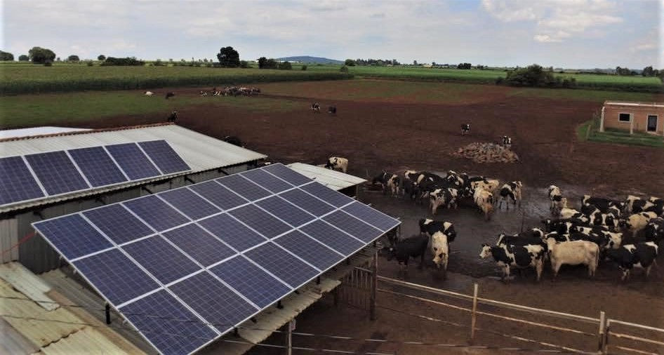 ‘CFE regala sistemas solares para empresas’
