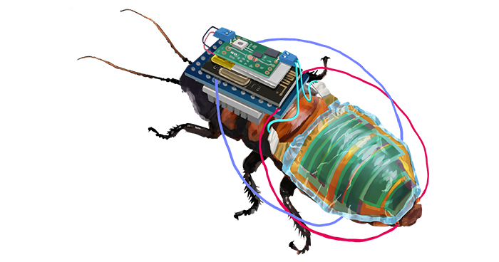PV-driven rechargeable control module for ‘cyborg cockroaches’