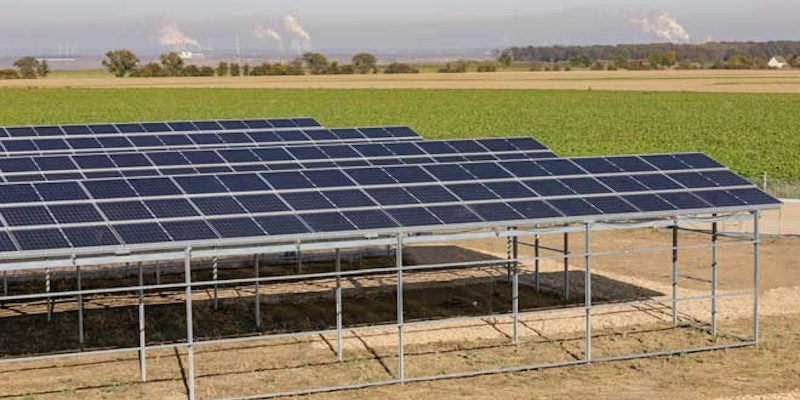 Sunfarming entwickelt neuartige Agri-Photovoltaik-Systeme