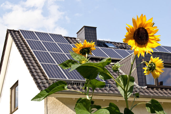 Easy Ways to Handle with Problems in Your Solar Panel