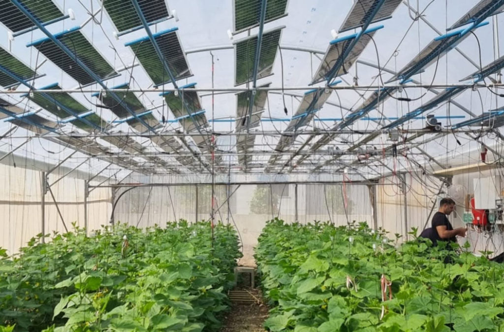 Nueva tecnología agrovoltaica para invernaderos