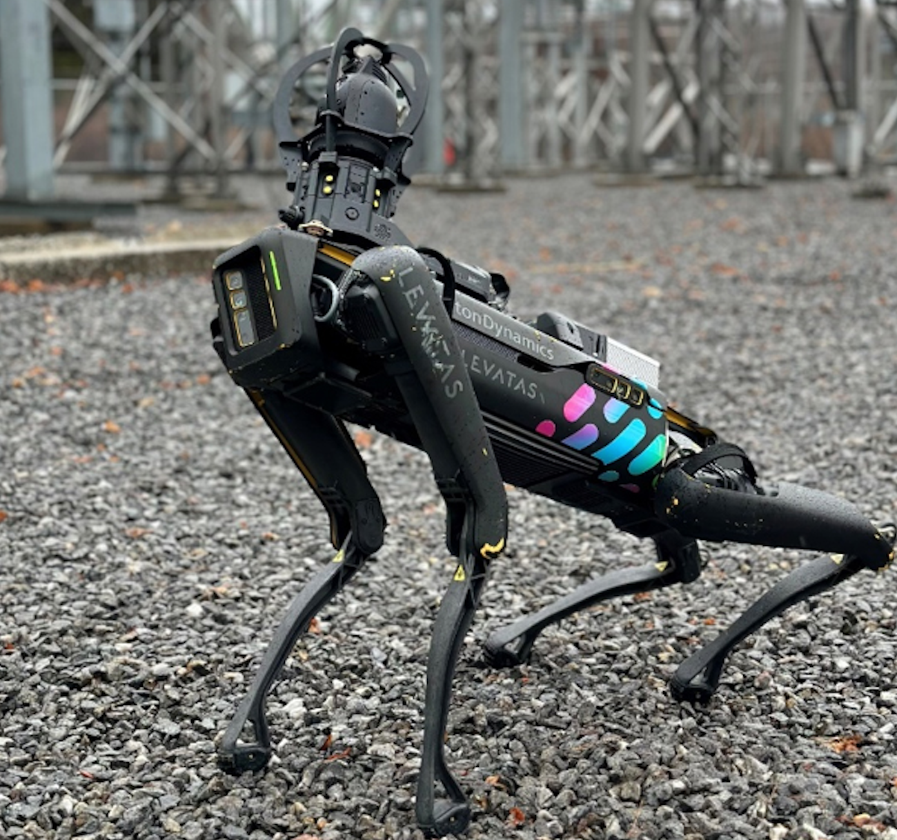 Iberdrola incorpora dos perros, uno real y otro robot, para supervisar instalaciones
