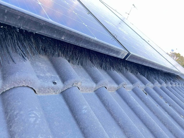 Italian startup offers new bird-protection solution for rooftop PV