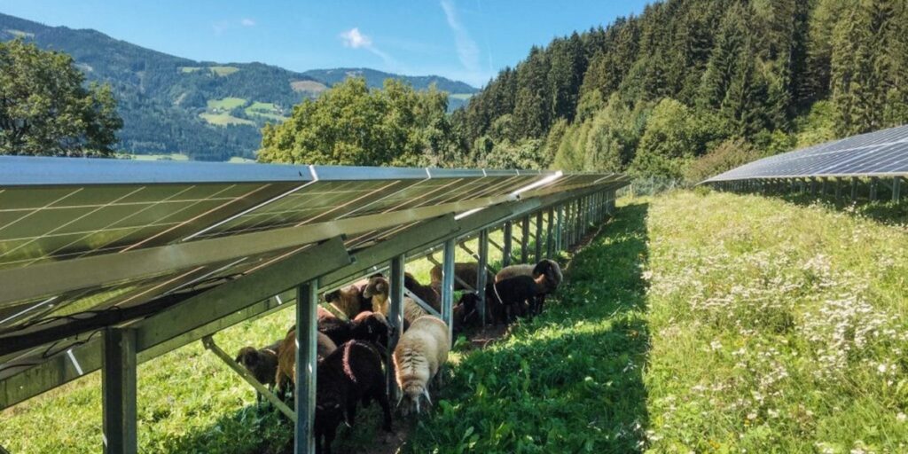 PV Austria: Rasche Verdopplung des Photovoltaik-Zubaus notwendig