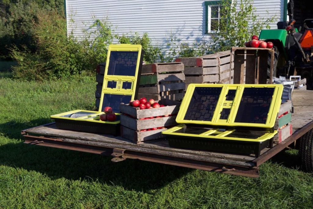 Una empresa estadounidense desarrolla un deshidratador agrícola que funciona con energía solar