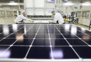Maxeon Solar extends warranty for IBC modules to 40 years