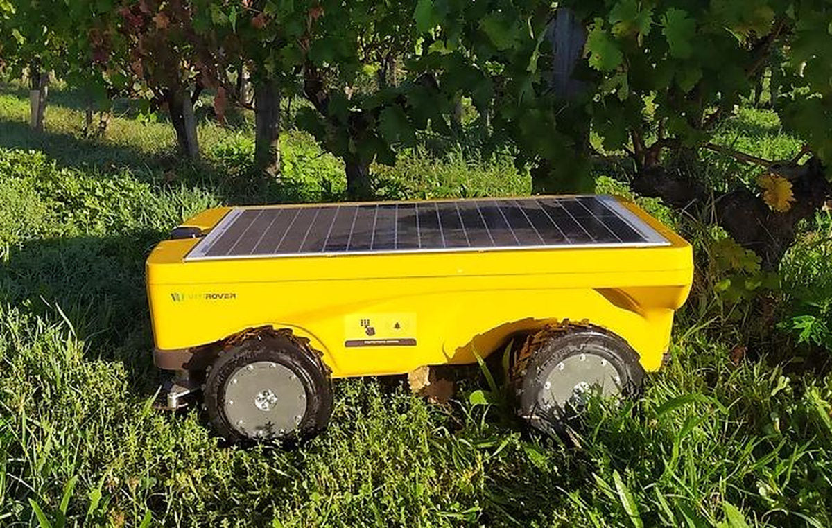Solar-powered robotic mower for vineyards