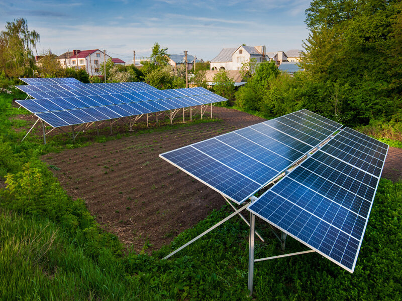 農林水産業が非FIT後押し「営農型太陽光発電システムフル活用事業」とは
