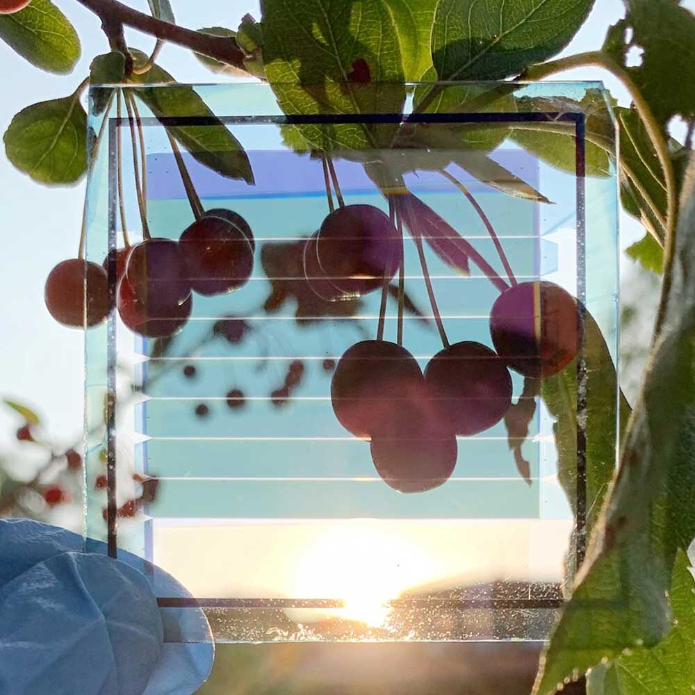 Researchers aim to scale organic semitransparent PV manufacturing for windows