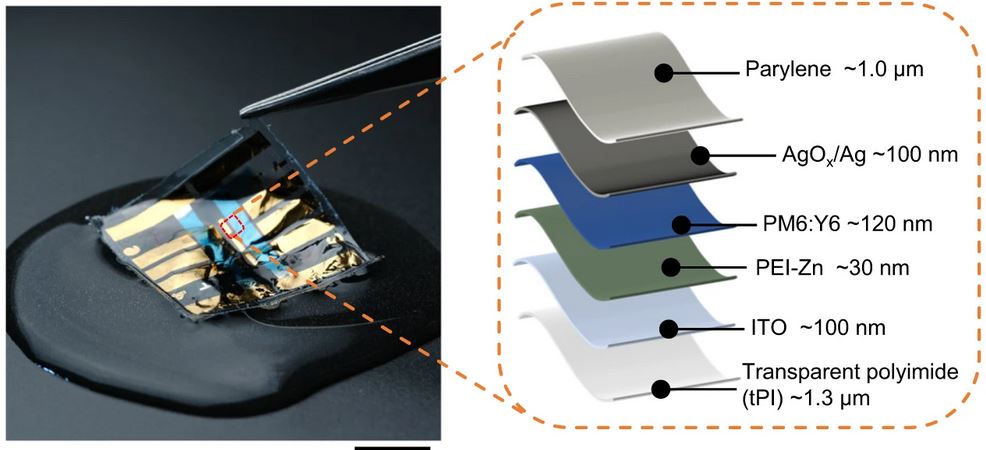 Japanese researchers develop waterproof, flexible organic solar cell with 14.3% efficiency