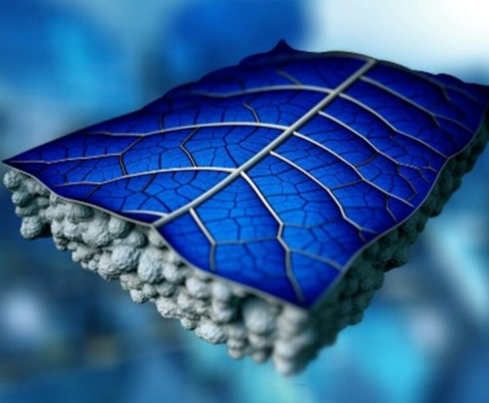 Multi-generation photovoltaic leaf to produce electricity, thermal energy, water