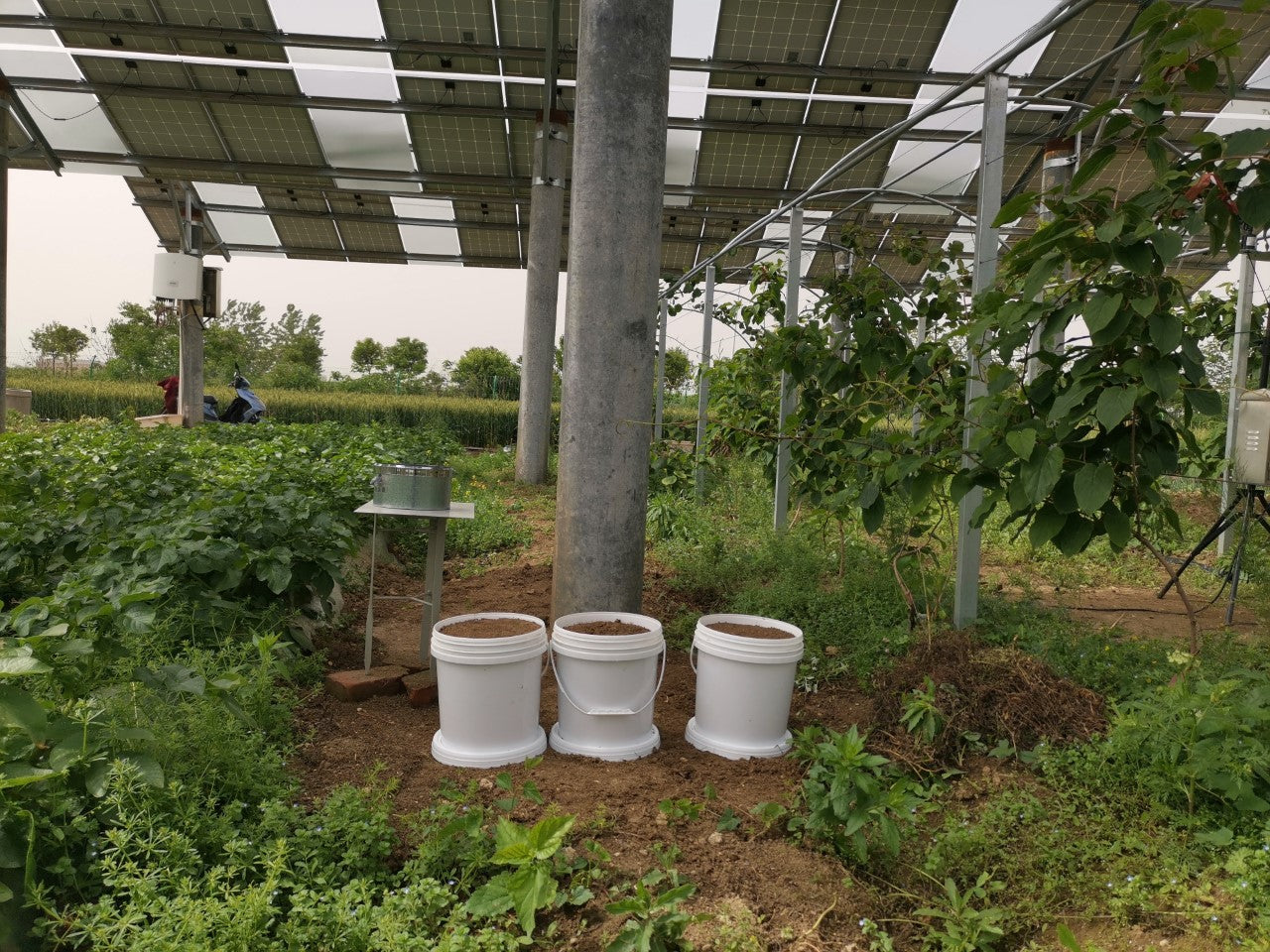 Agrivoltaics to reduce water evaporation